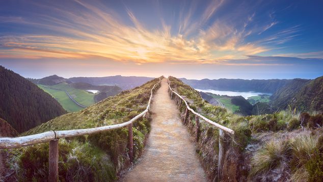 Path, Nature, Outdoors